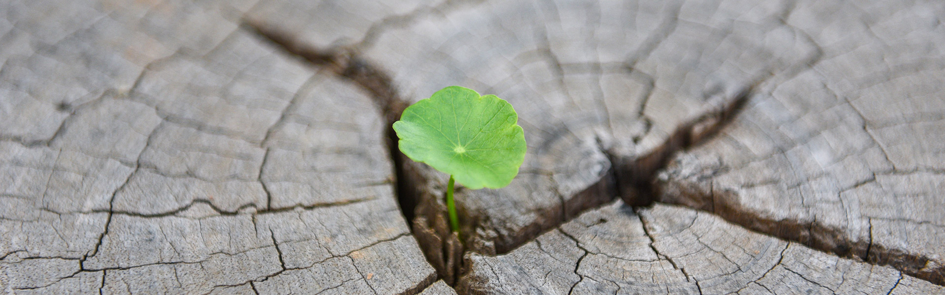 How To Find Purpose And Meaning In Life After Overcoming Addiction | 70x7 Wellness Mission Baltimore